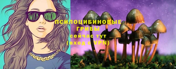 гидра Абинск