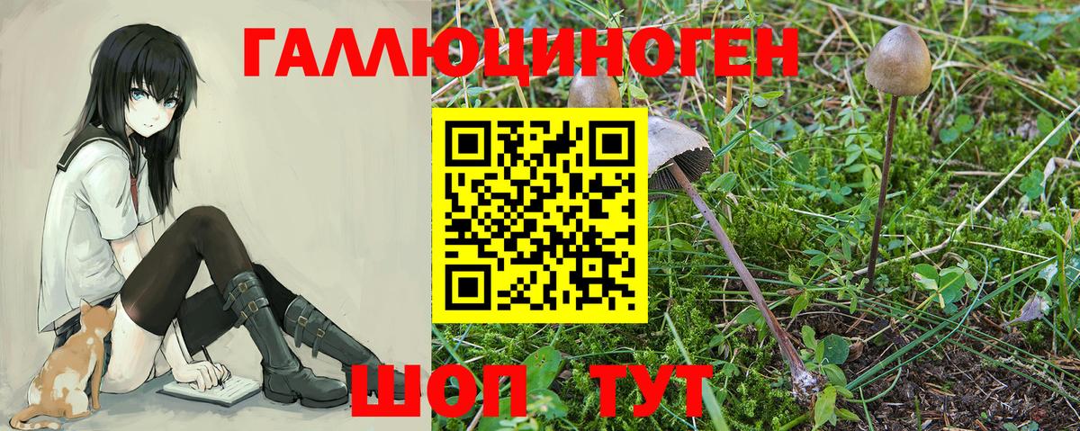 Севастополь  Псилоцибиновые грибы Magic Shrooms  Вход с VPN 