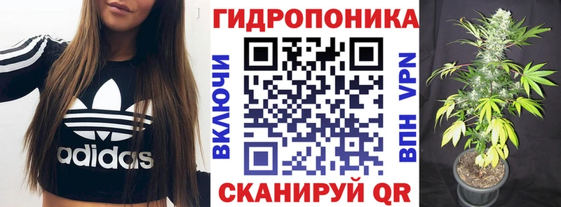 Каннабис VHQ omg зеркало Севастополь